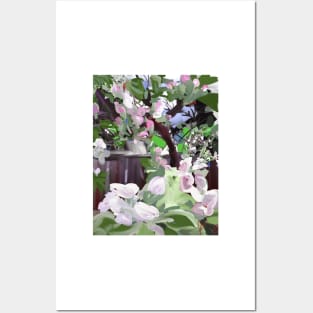 Apple Blossoms Posters and Art